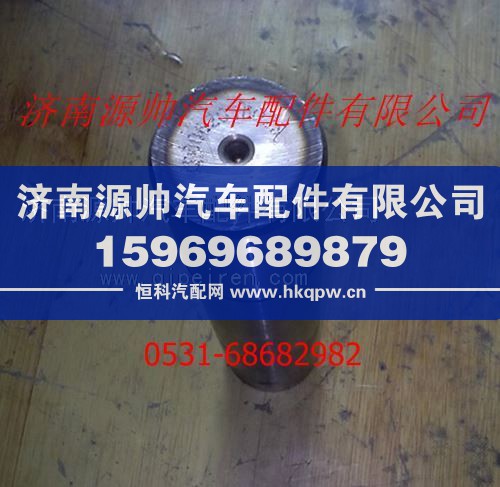 陜汽德龍F(tuán)2000轉(zhuǎn)向節(jié)主銷