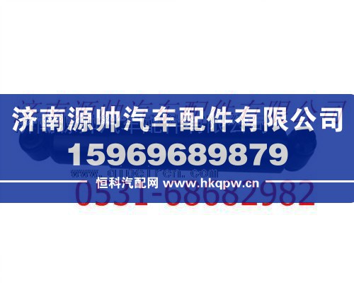 陕汽德龙F3000加强型减震器