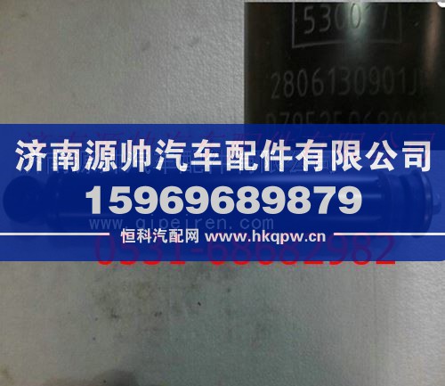 DZ95259680013,陕汽德龙F3000减振器总成,济南源帅汽车配件有限公司