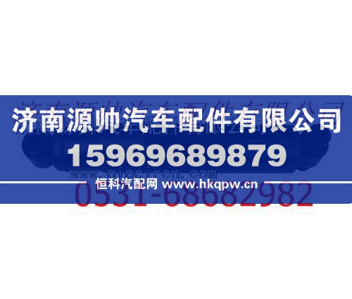 陕汽德龙F3000减震器