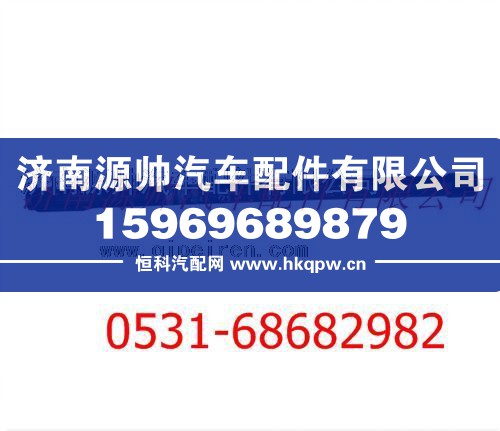 陕汽德龙F3000半轴