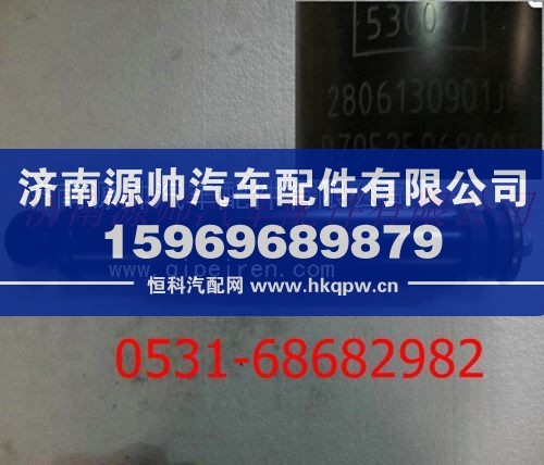 陕汽德龙F3000减振器总成
