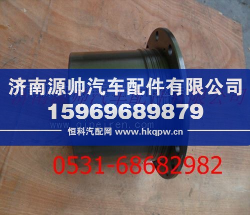 陕汽德龙F3000轮边减速器总成
