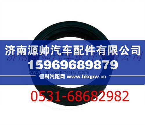陕汽汉德车桥德龙F3000轴密封圈