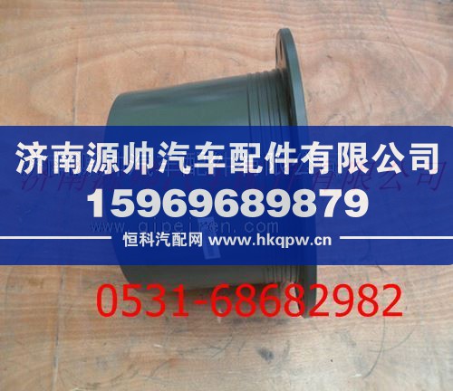 重汽豪沃轮边减速器总成