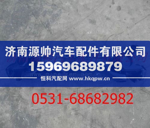 陕汽德龙F2000传动轴总成DZ9114311067