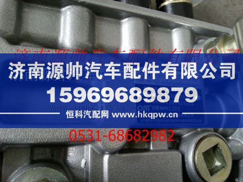 潍柴发动机高压喷油泵总成