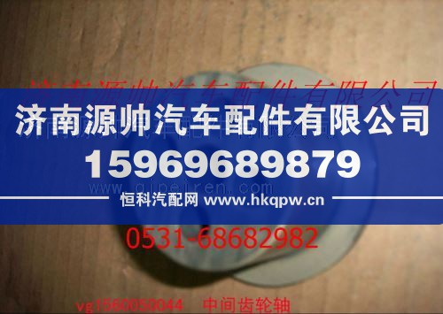 重汽发动机中间齿轮轴