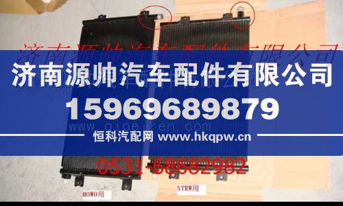 重汽斯太尔王发动机冷凝器