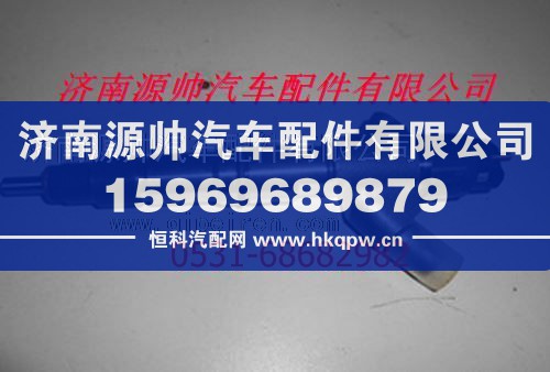 潍柴电喷共轨发动机喷油器