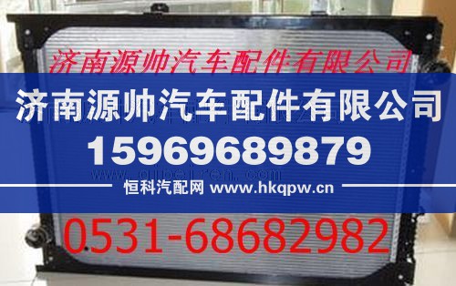 陕汽德龙F3000散热器 陕汽德龙F3000水箱