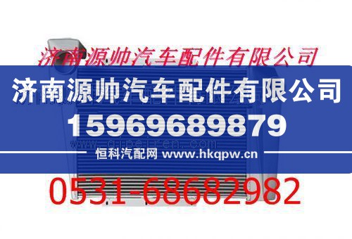 重汽斯太尔王420马力中冷器总成