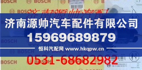 潍柴博士喷油器总成