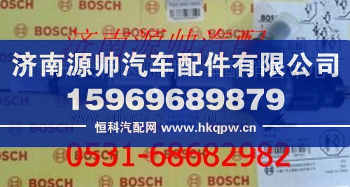 潍柴博士喷油器总成