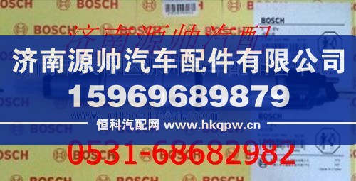 潍柴博士喷油器总成
