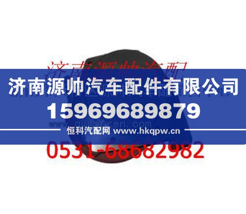 潍柴WD615发动机水泵