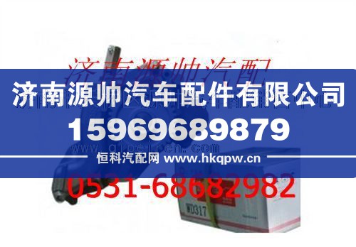 612600070299,潍柴WD615油泵总成机,济南源帅汽车配件有限公司