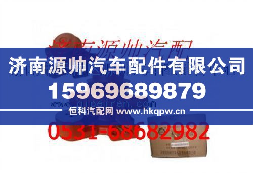 潍柴WP10发动机水泵