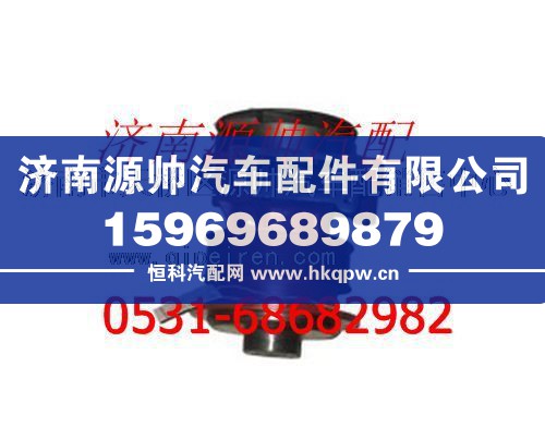 潍柴WP10发动机水泵
