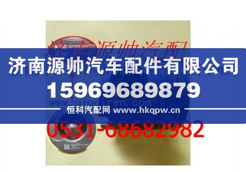 濰柴發(fā)動(dòng)機(jī)活塞(一組6個(gè))