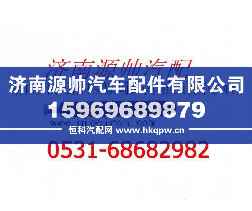潍柴发动机喷油器总成