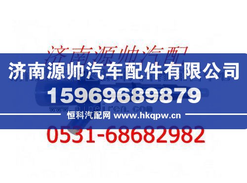 潍柴发动机喷油器总成