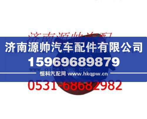 濰柴發(fā)動機水泵