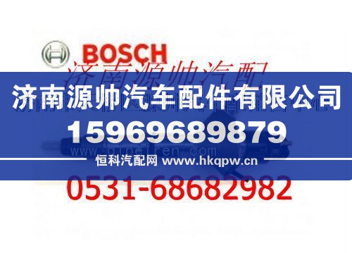 潍柴发动机喷油器