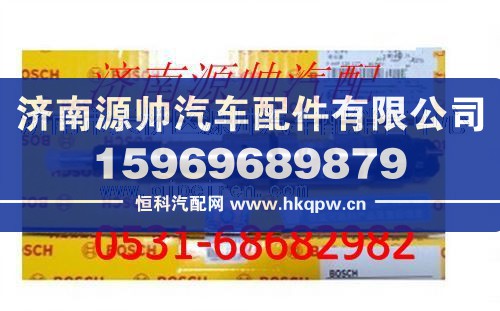 潍柴发动机喷油器