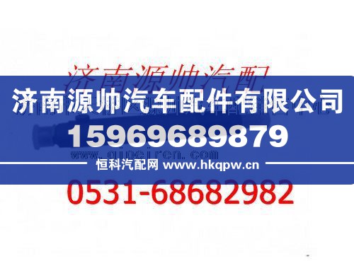 潍柴喷油器总成