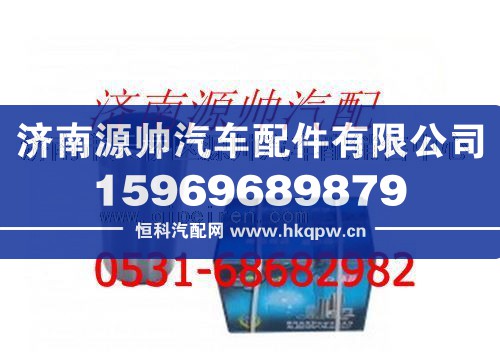 潍柴WP12与重汽D12通用气缸套