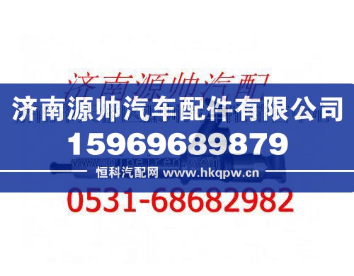 重汽D10发动机喷油器总成