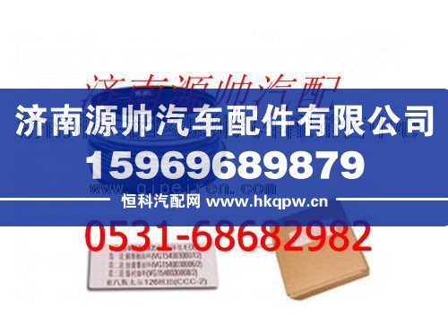 重汽D12活塞环