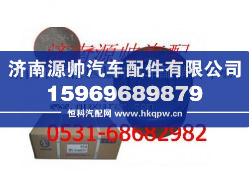 VG1560037011,重汽发动机活塞(一组6个）,济南源帅汽车配件有限公司