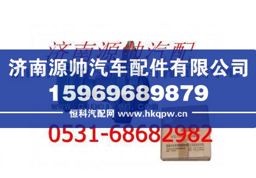 重汽金王子发动机水泵