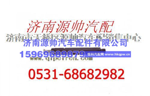 重汽喷油器总成