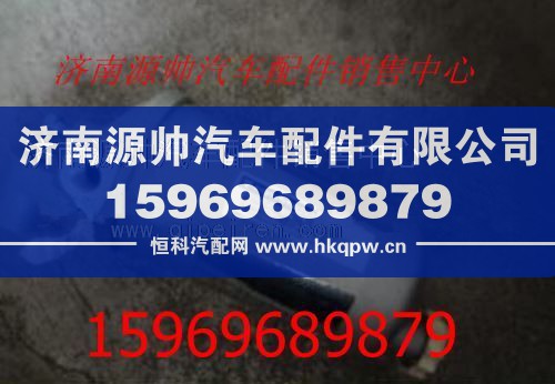 欧曼燃油粗滤芯1417011580002
