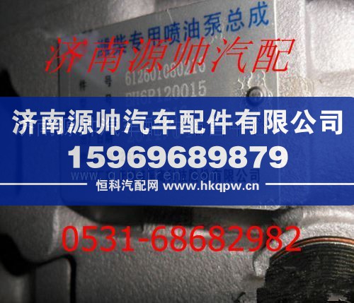 潍柴WD615发动机高压油泵总成612601080216