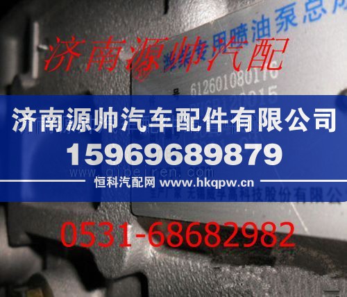潍柴WD615发动机燃油泵612601080176