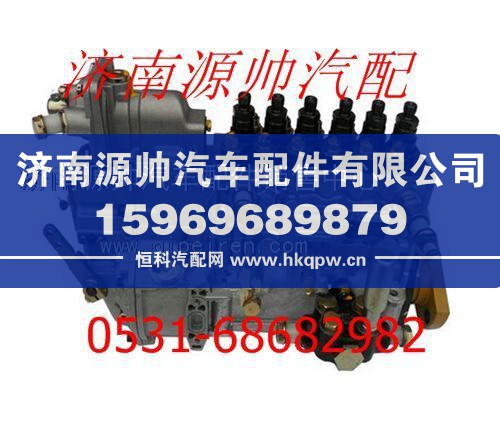 潍柴WD615发动机燃油泵总成612601080116