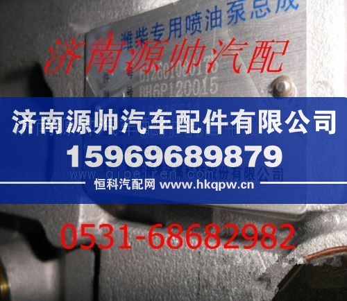 濰柴WD615發(fā)動(dòng)機(jī)燃油噴射泵612601080175