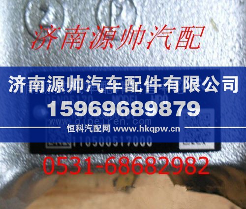 重汽豪沃燃油泵R61540080101