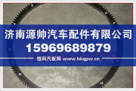 重汽发动机飞轮齿圈VG2600020208