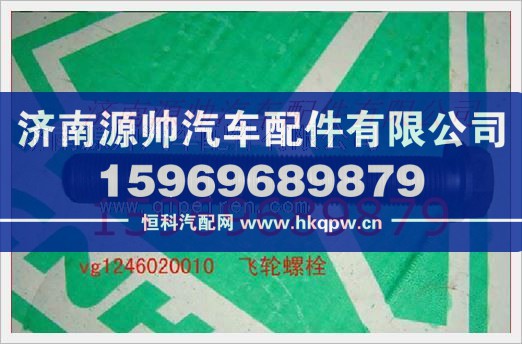 重汽发动机飞轮螺栓VG1246020010