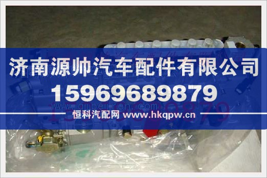重汽发动机高压油泵总成VG1095080100