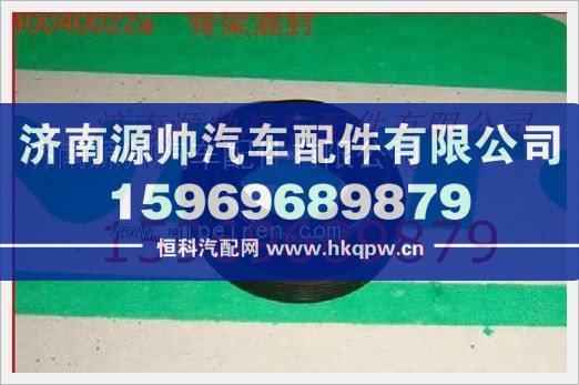 重汽發(fā)動機骨架油封VG1540040022A