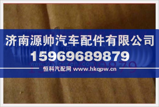 VG1560080701,重汽发动机火花塞VG1560080701,济南源帅汽车配件有限公司