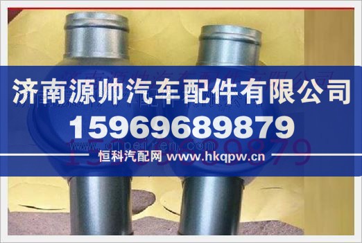 重汽發(fā)動機(jī)節(jié)溫器總成VG14060135