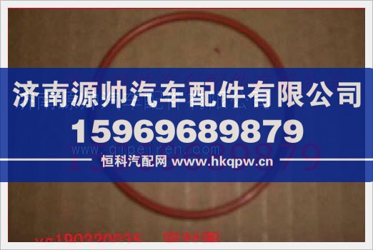 重汽发动机密封圈VG190320035