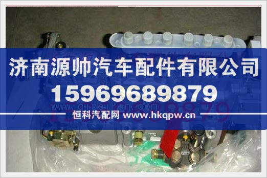 重汽发动机喷油泵总成VG1092080120